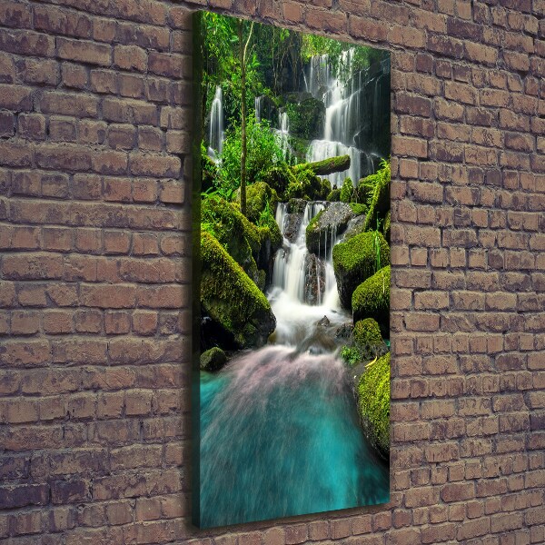 Canvas wall art Waterfall in the jungle