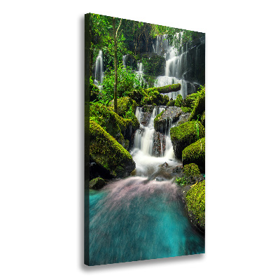 Canvas wall art Waterfall in the jungle