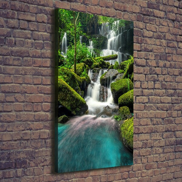 Canvas wall art Waterfall in the jungle