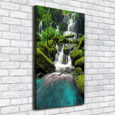 Canvas wall art Waterfall in the jungle