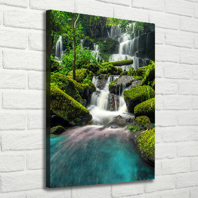 Canvas wall art Waterfall in the jungle