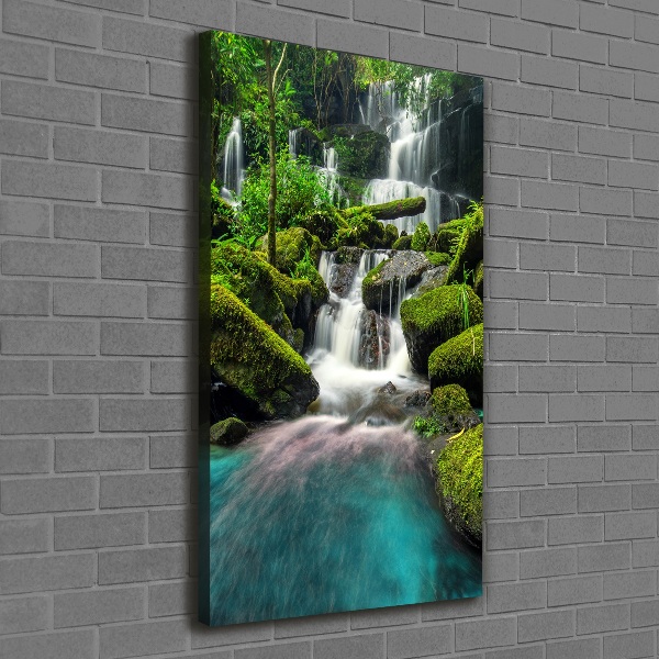 Canvas wall art Waterfall in the jungle