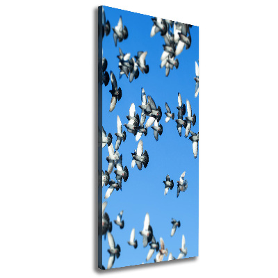 Canvas wall art Pigeons in the sky