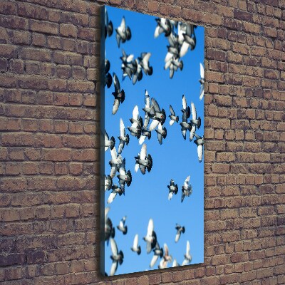 Canvas wall art Pigeons in the sky