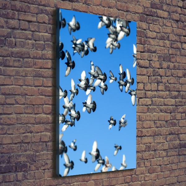 Canvas wall art Pigeons in the sky