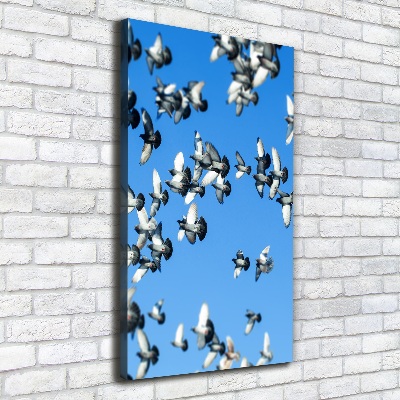 Canvas wall art Pigeons in the sky