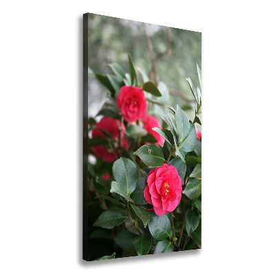 Large canvas wall art Camellia