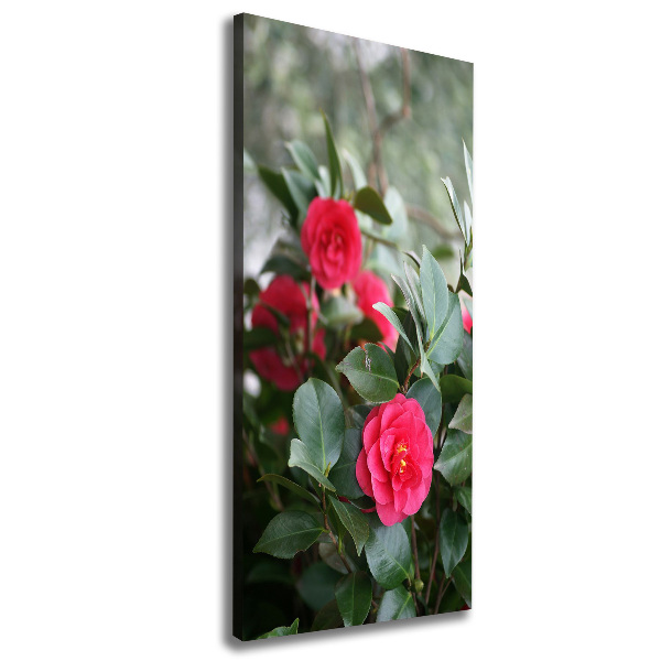 Large canvas wall art Camellia