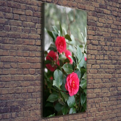 Large canvas wall art Camellia