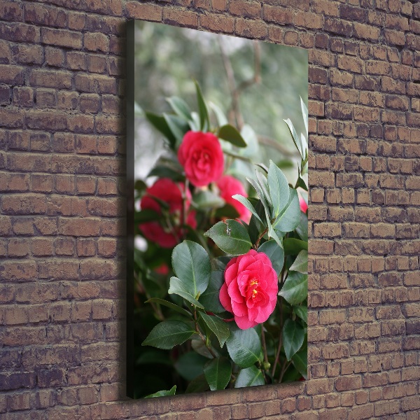 Large canvas wall art Camellia