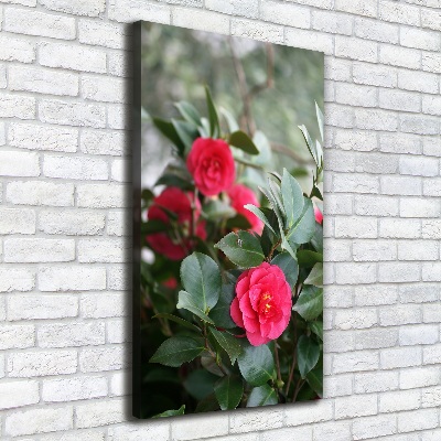 Large canvas wall art Camellia