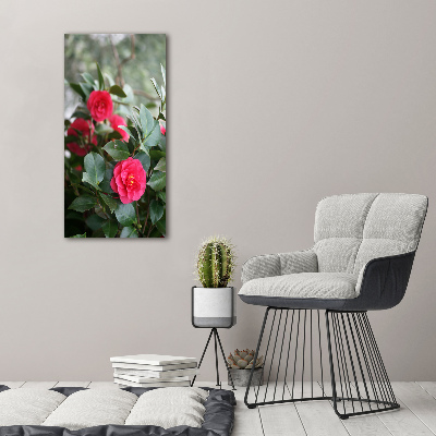 Large canvas wall art Camellia