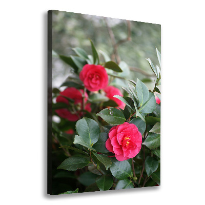 Large canvas wall art Camellia