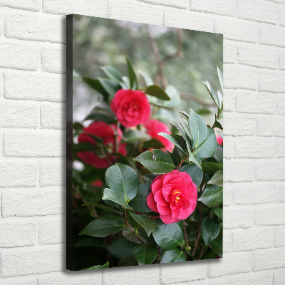 Large canvas wall art Camellia