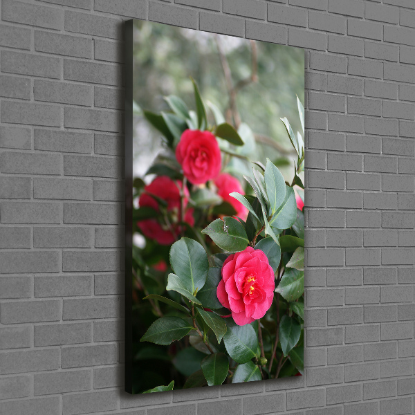 Large canvas wall art Camellia