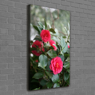 Large canvas wall art Camellia