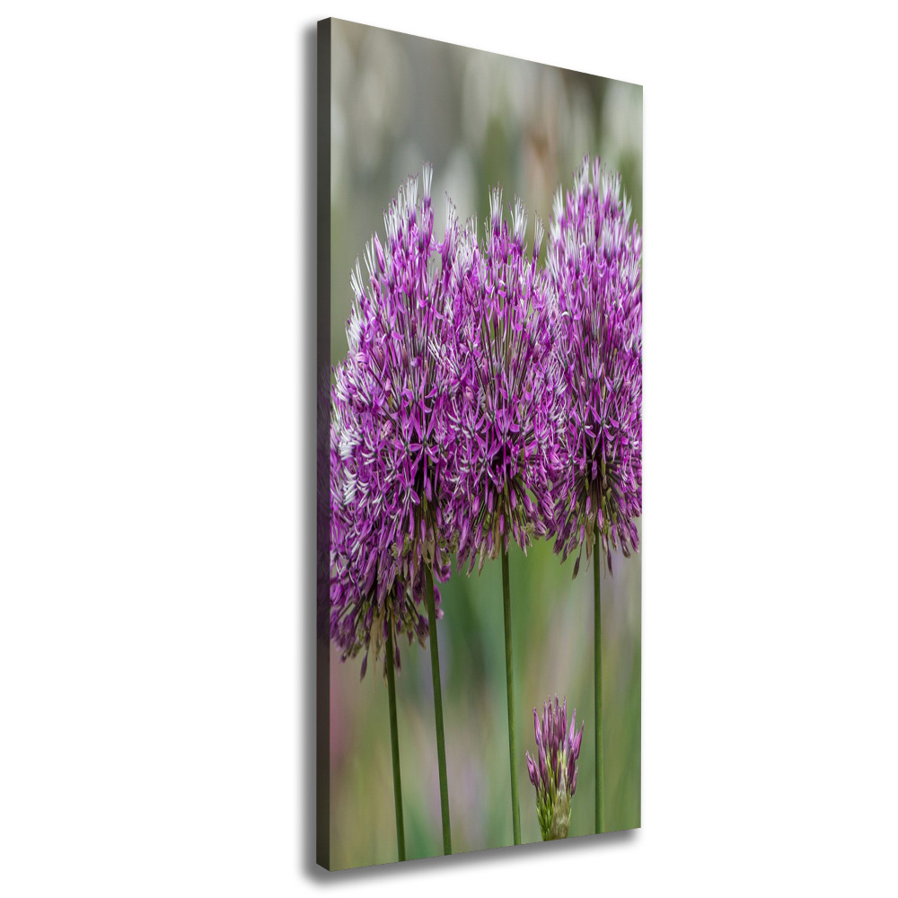 Large canvas wall art Garlic flowers