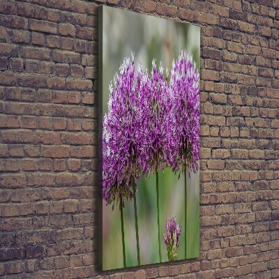 Large canvas wall art Garlic flowers