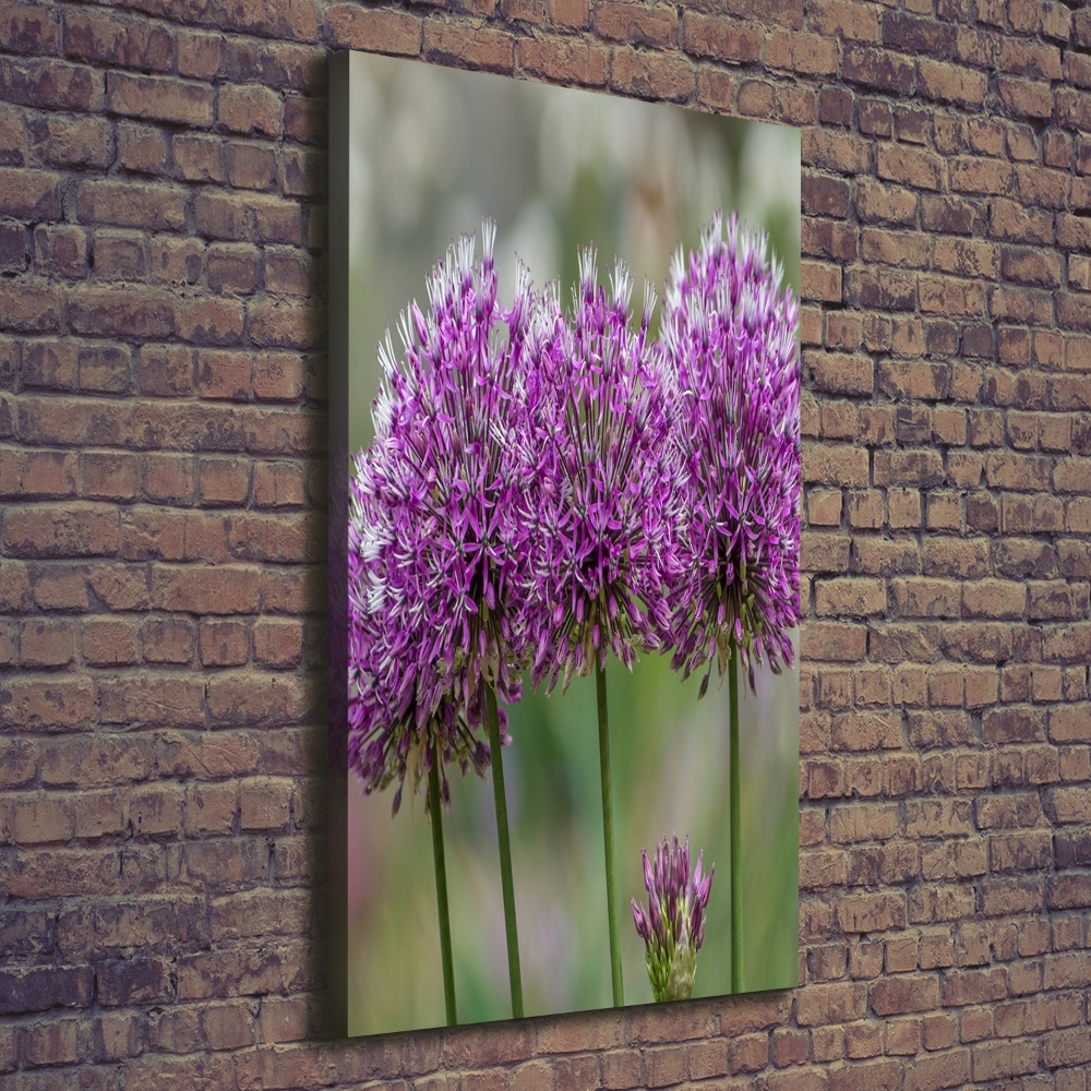 Large canvas wall art Garlic flowers