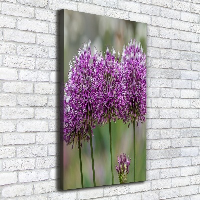 Large canvas wall art Garlic flowers