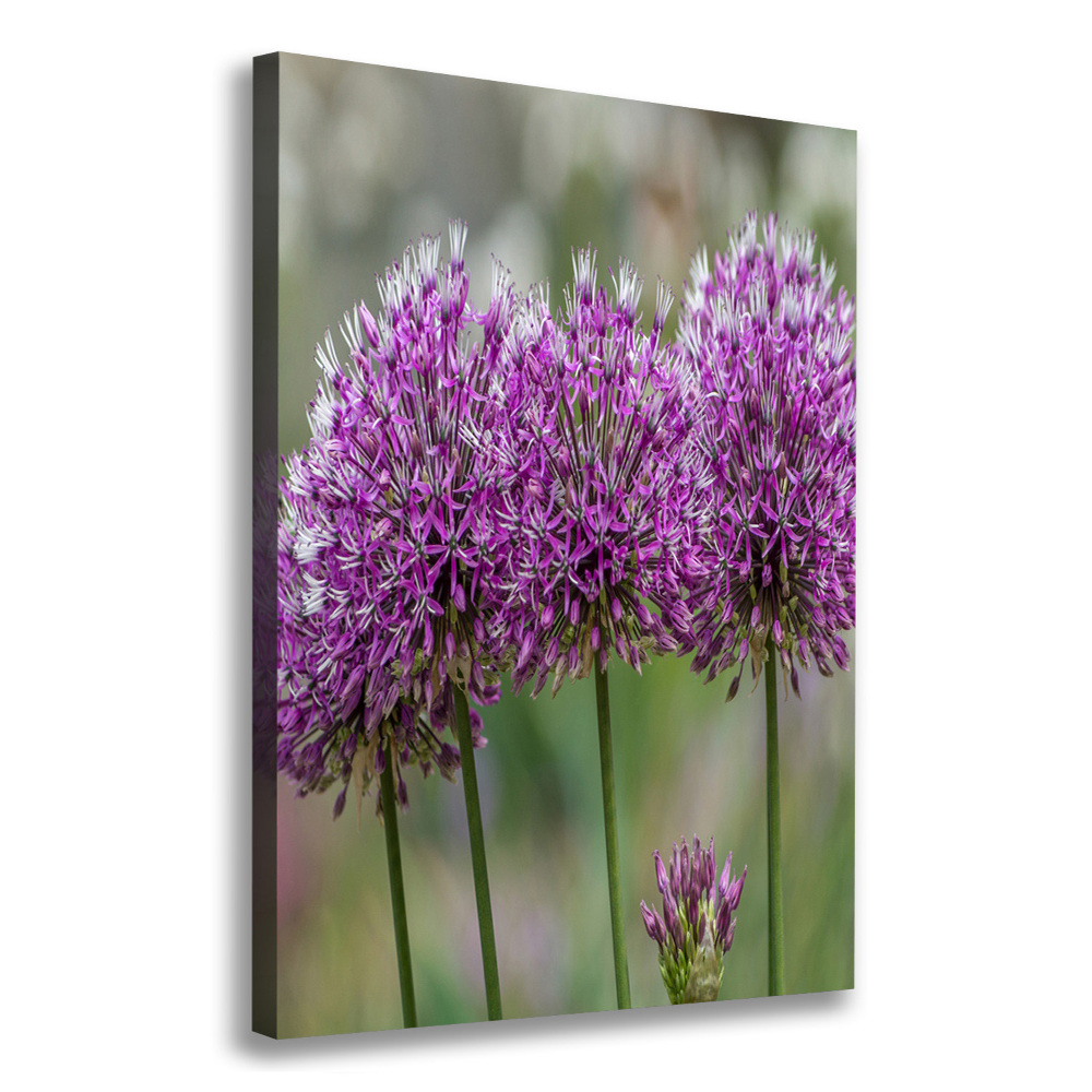 Large canvas wall art Garlic flowers