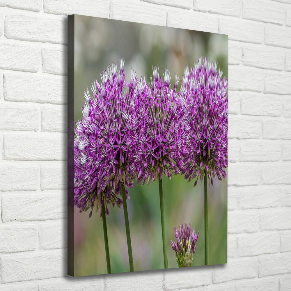 Large canvas wall art Garlic flowers