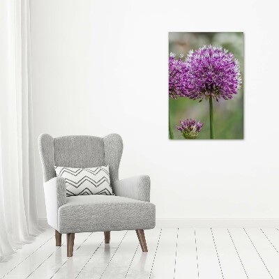 Large canvas wall art Garlic flowers