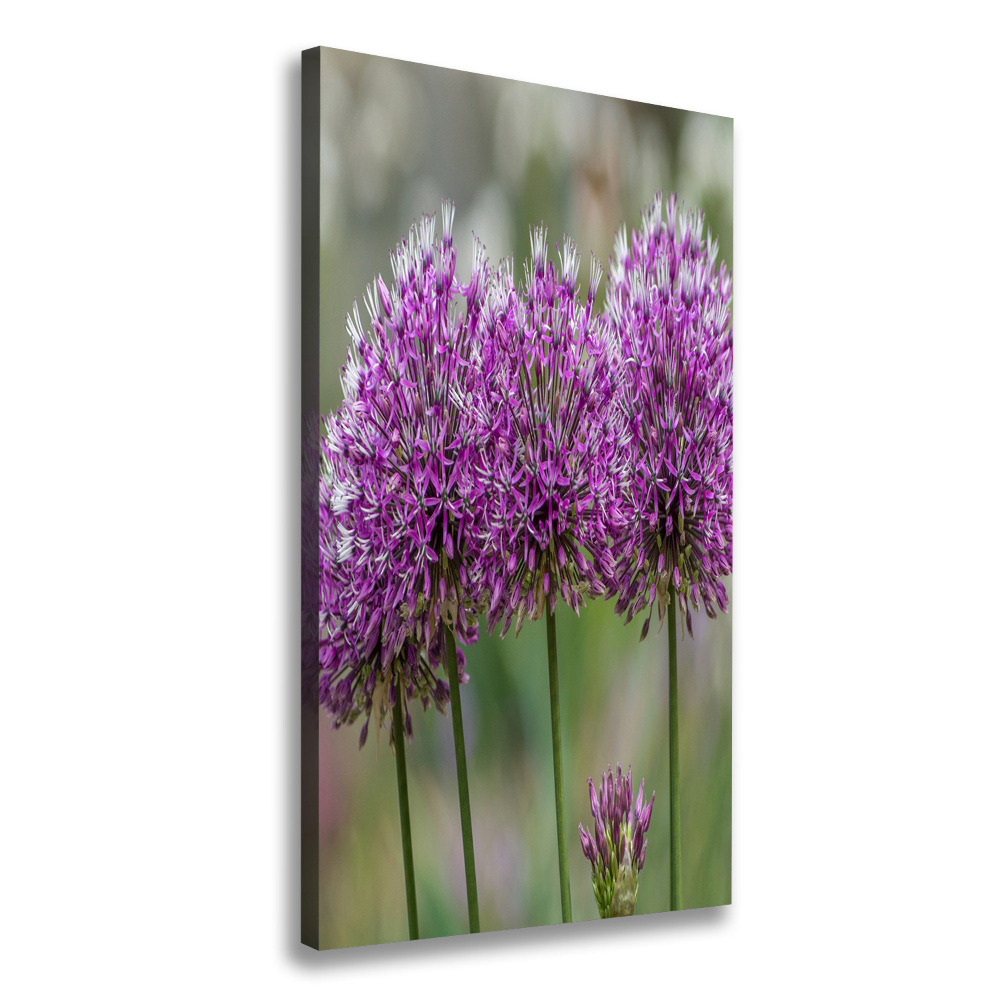 Large canvas wall art Garlic flowers