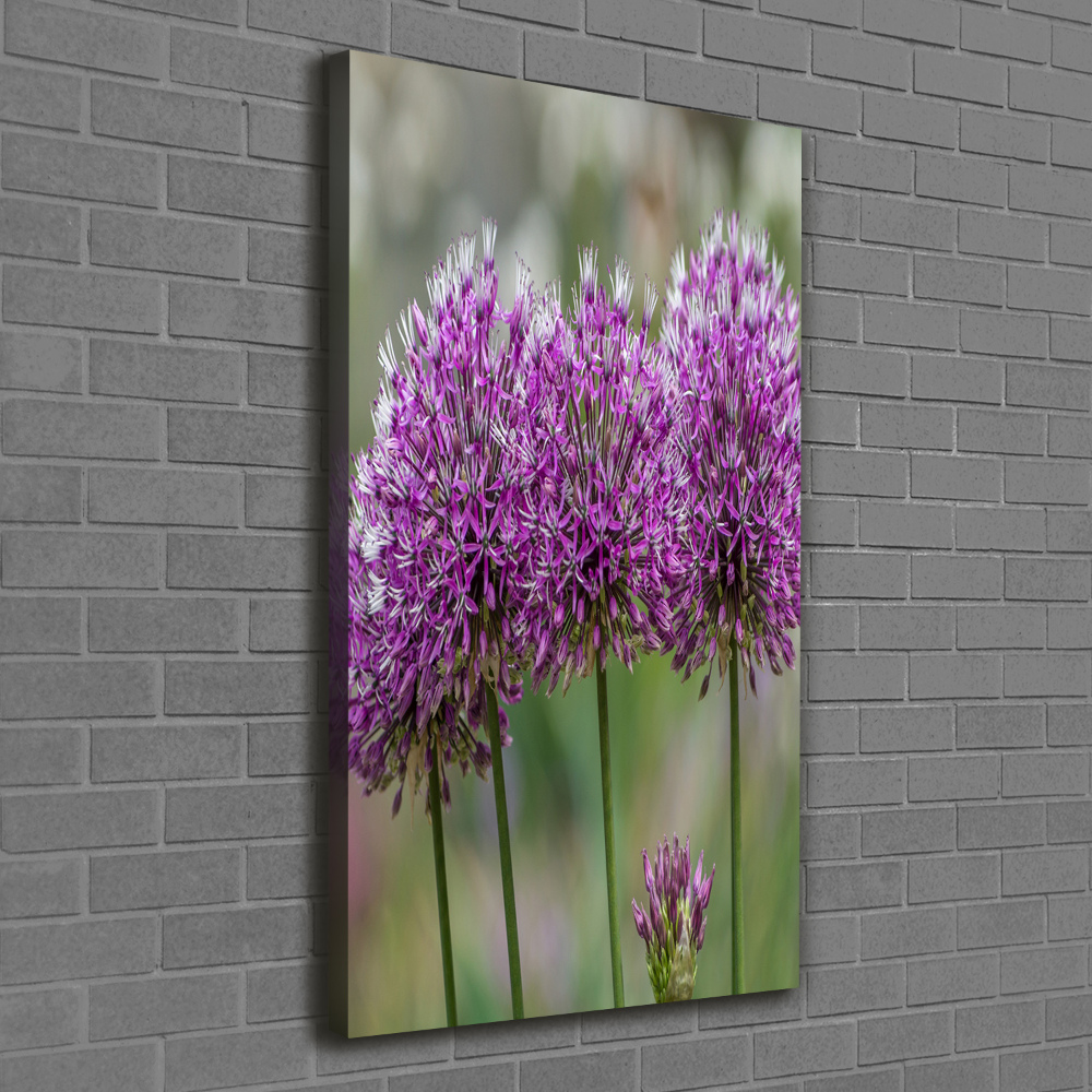 Large canvas wall art Garlic flowers