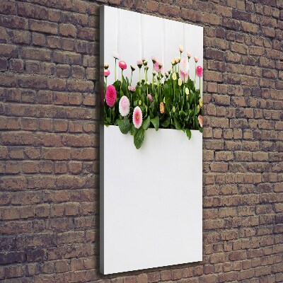 Canvas print Pink daisies