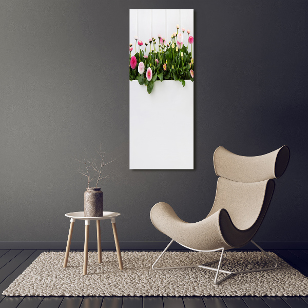 Canvas print Pink daisies