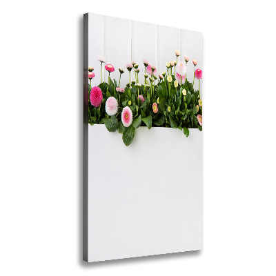 Canvas print Pink daisies