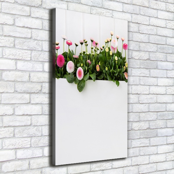 Canvas print Pink daisies