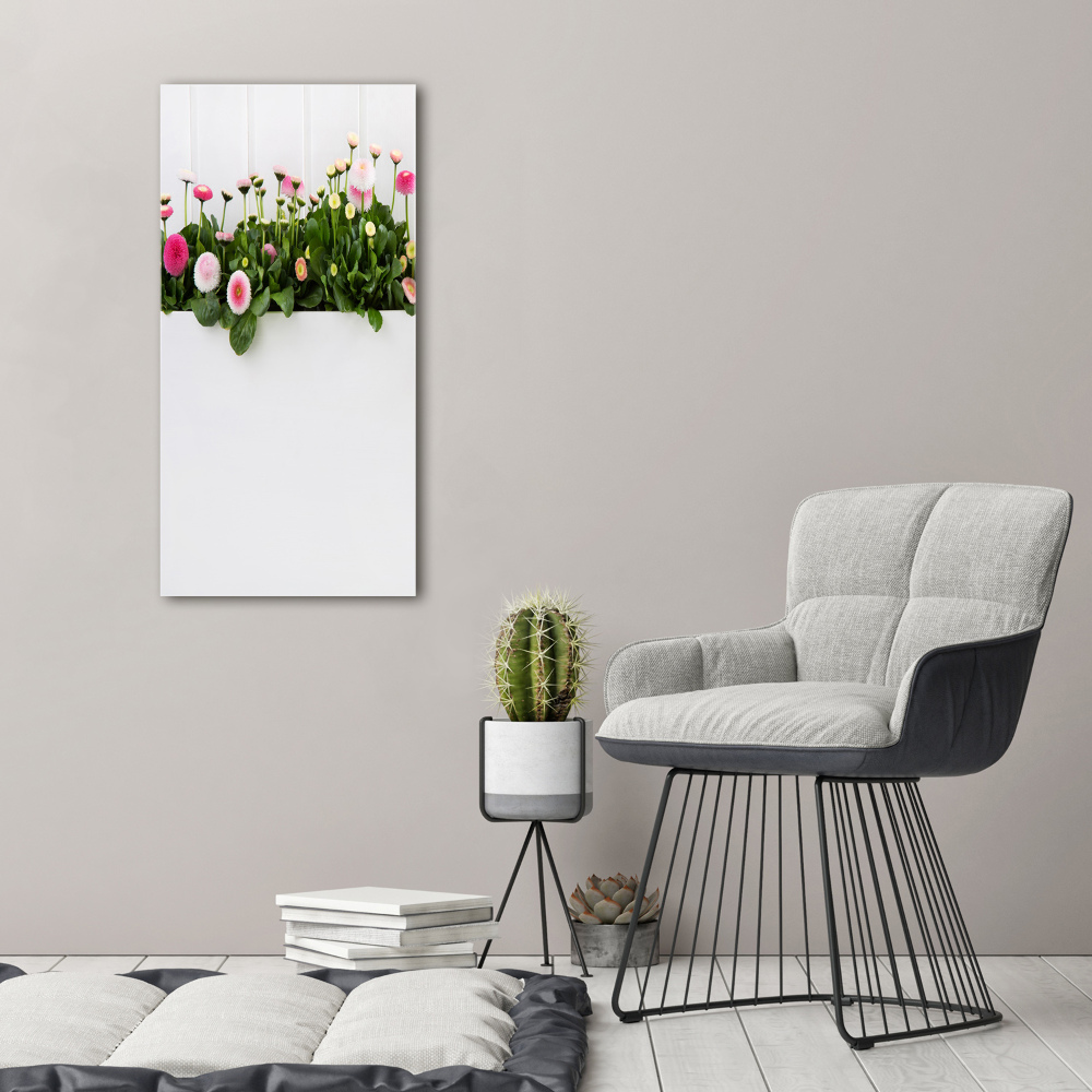 Canvas print Pink daisies