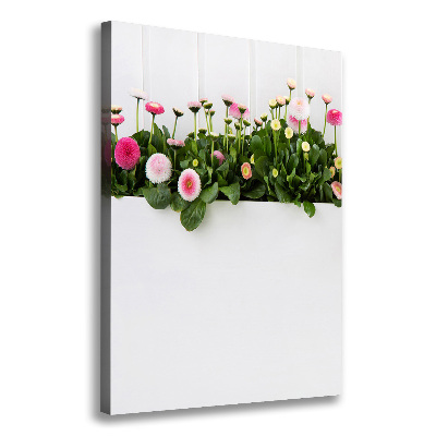 Canvas print Pink daisies