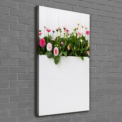 Canvas print Pink daisies