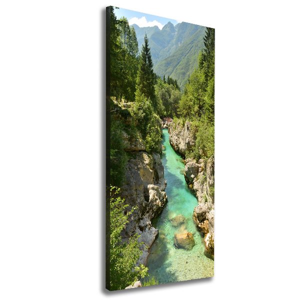 Large canvas wall art Mountain stream