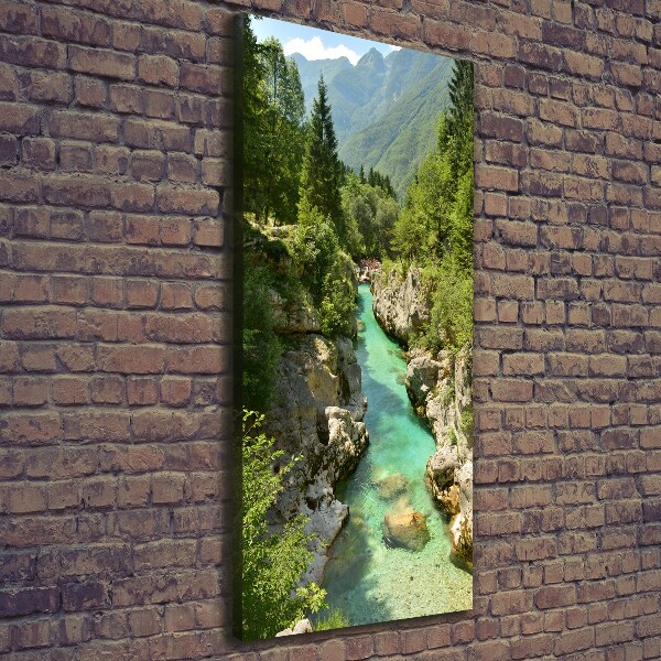 Large canvas wall art Mountain stream