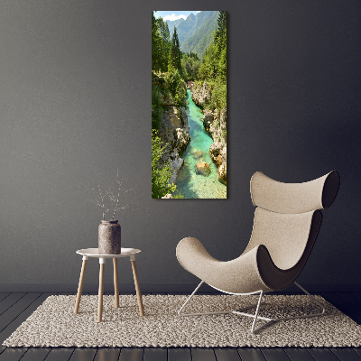 Large canvas wall art Mountain stream