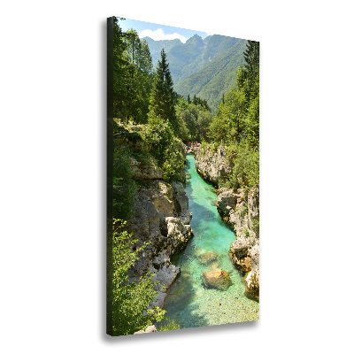 Large canvas wall art Mountain stream