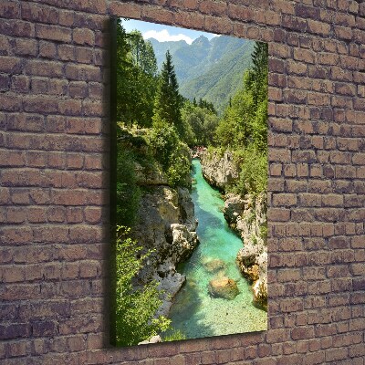 Large canvas wall art Mountain stream