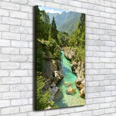 Large canvas wall art Mountain stream