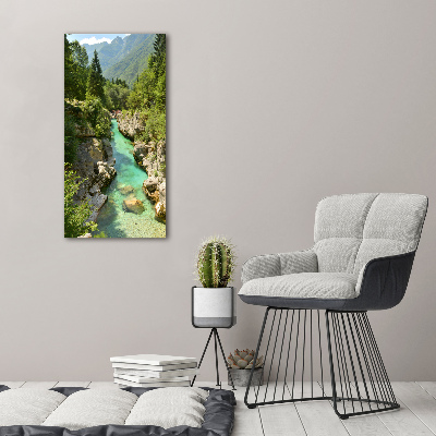 Large canvas wall art Mountain stream