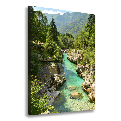 Large canvas wall art Mountain stream