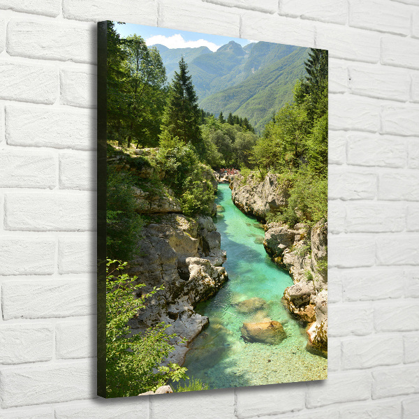 Large canvas wall art Mountain stream