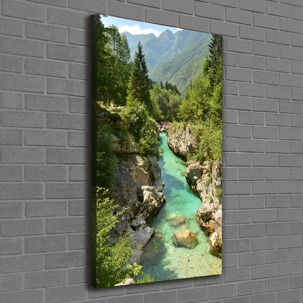 Large canvas wall art Mountain stream