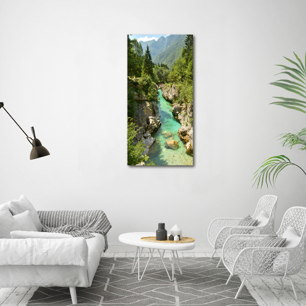 Large canvas wall art Mountain stream