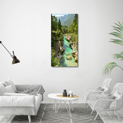 Large canvas wall art Mountain stream