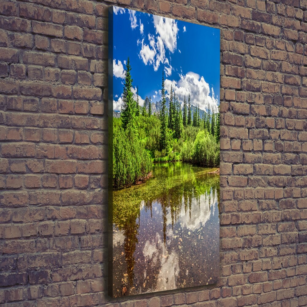 Large canvas wall art Lake in the mountains