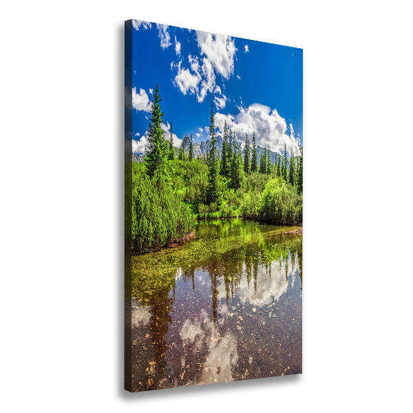 Large canvas wall art Lake in the mountains